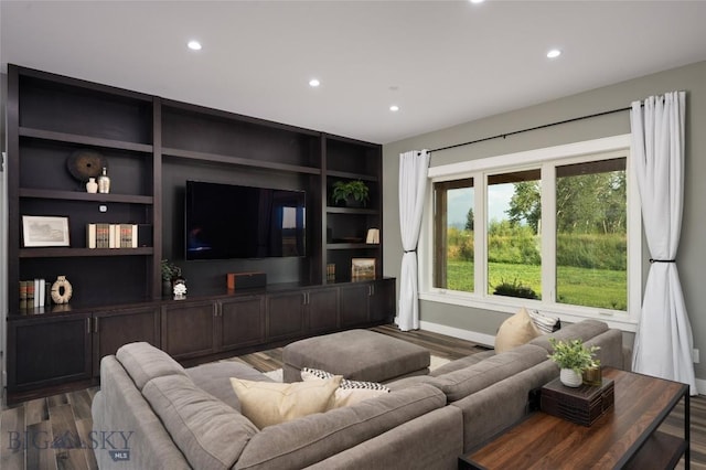 living room featuring dark hardwood / wood-style floors and built in features