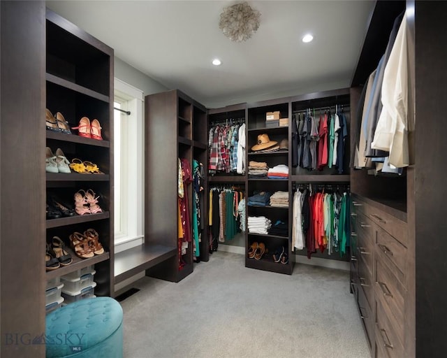 spacious closet with light colored carpet