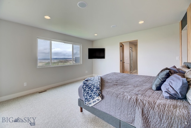 bedroom with carpet flooring