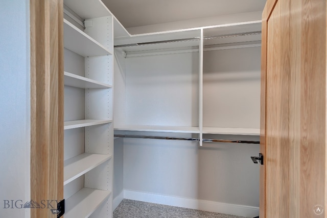 spacious closet with carpet