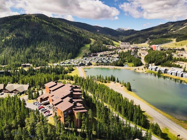 bird's eye view featuring a water and mountain view