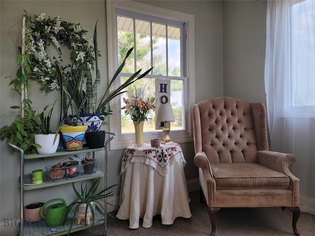 view of sitting room