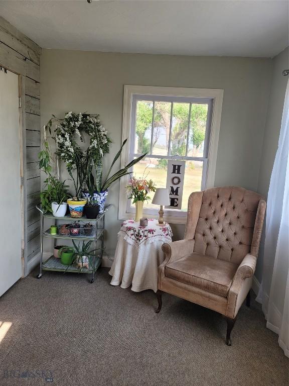 living area with carpet floors