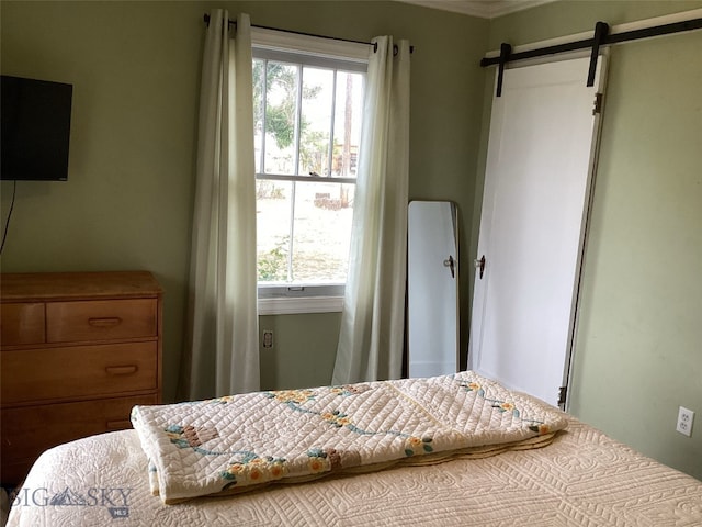 bedroom with a barn door