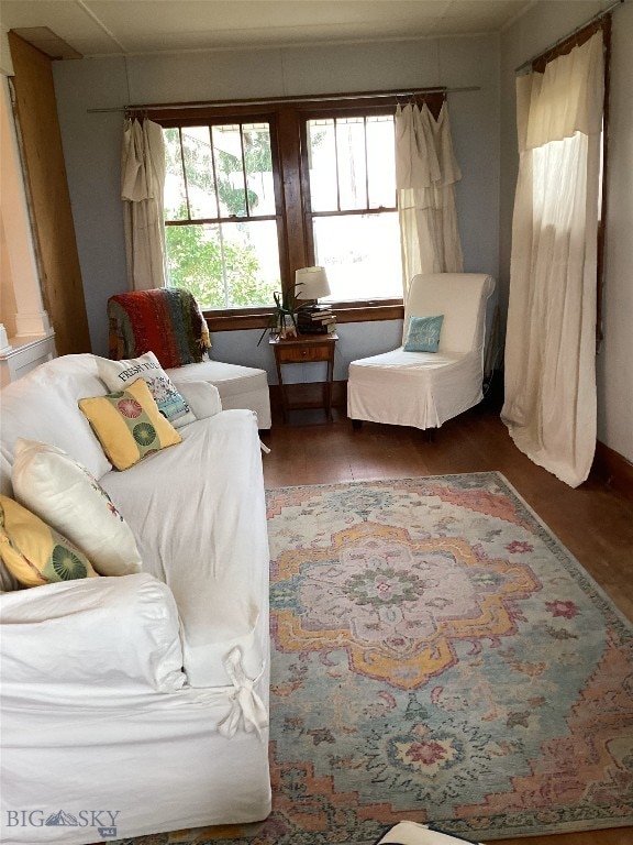 living area with wood finished floors