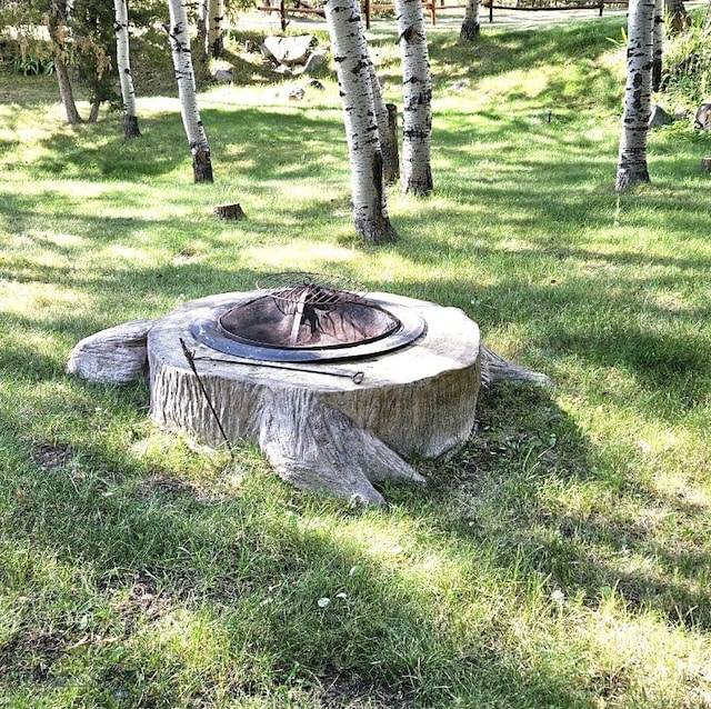 view of yard with a fire pit