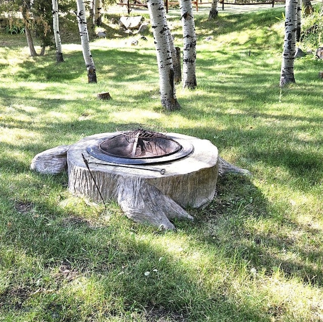 details with a fire pit
