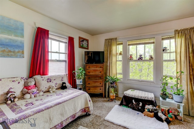 carpeted bedroom featuring multiple windows