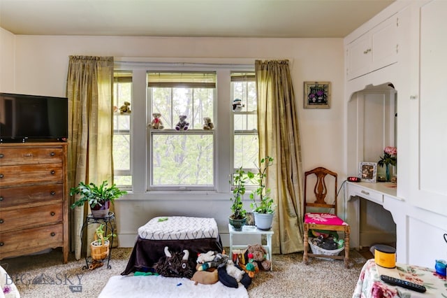 bedroom with multiple windows and carpet