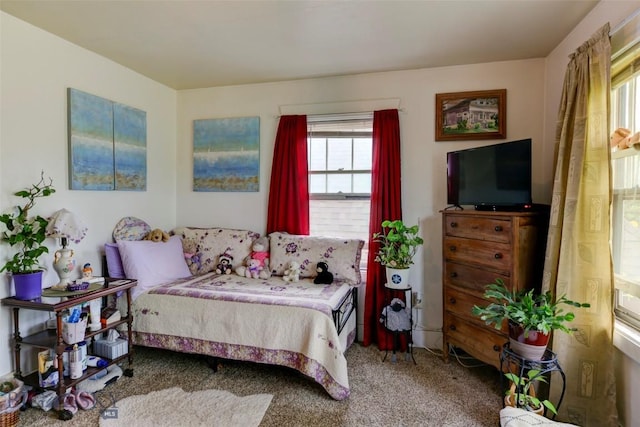 325 N 3rd St, Livingston, MT 59047 - bedroom with multiple windows and carpet flooring