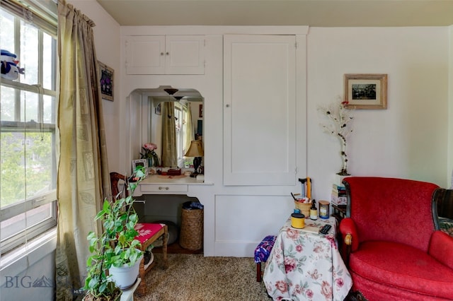 interior space with carpet floors