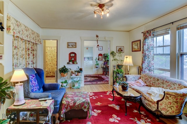 living room featuring hardwood / wood-style floors