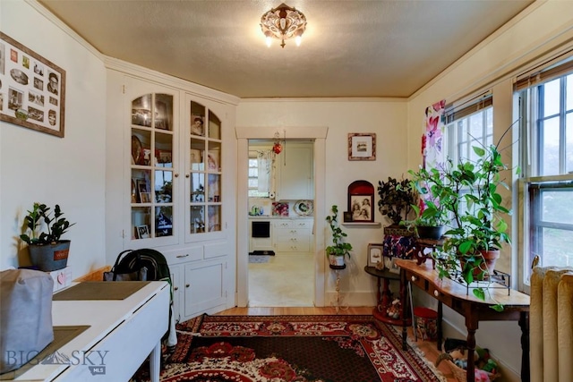 325 N 3rd St, Livingston, MT 59047 - office area featuring plenty of natural light