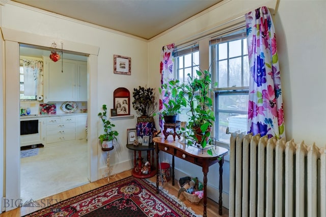 interior space featuring wood-type flooring and radiator