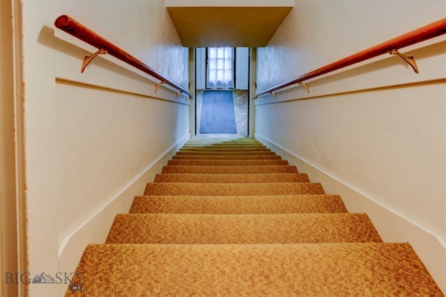 stairs featuring carpet