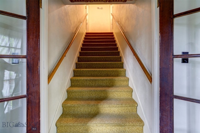 stairs featuring carpet floors