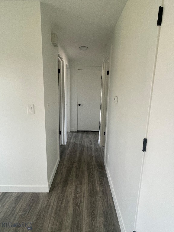 corridor featuring dark wood-type flooring