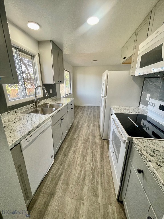 kitchen with a wealth of natural light, sink, white appliances, and hardwood / wood-style flooring