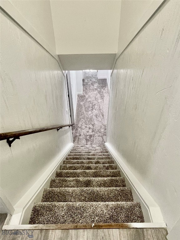 stairs featuring carpet