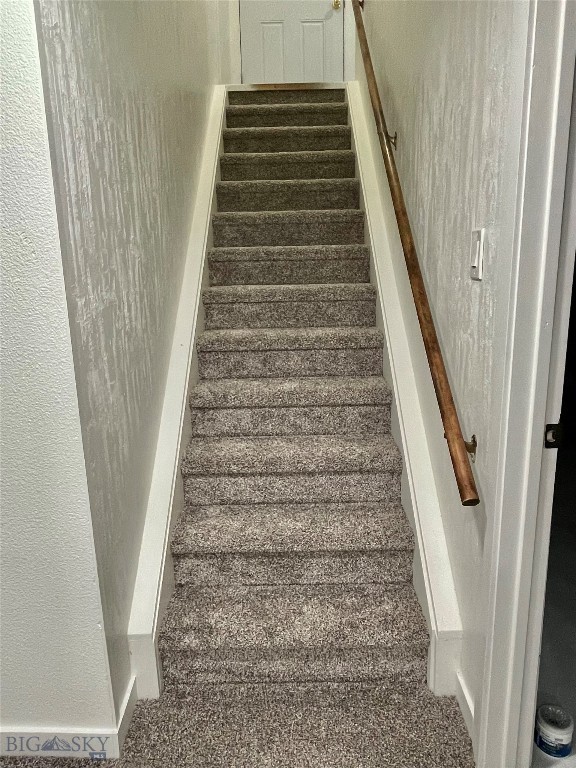 staircase featuring carpet flooring