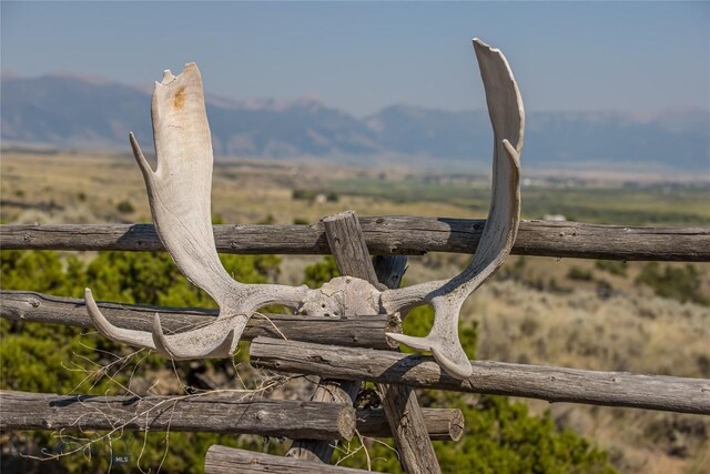 details with a mountain view and a rural view