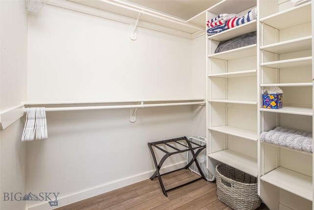 spacious closet featuring hardwood / wood-style floors