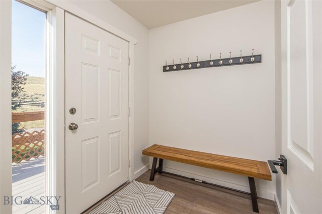 entryway with hardwood / wood-style flooring