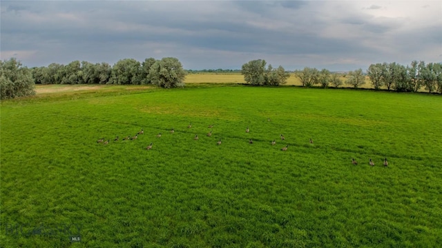 view of yard with a rural view