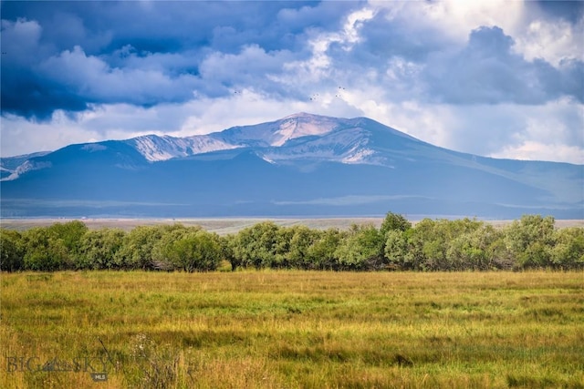 NHN Highway 43, Wisdom, MT 59761 - photo 7