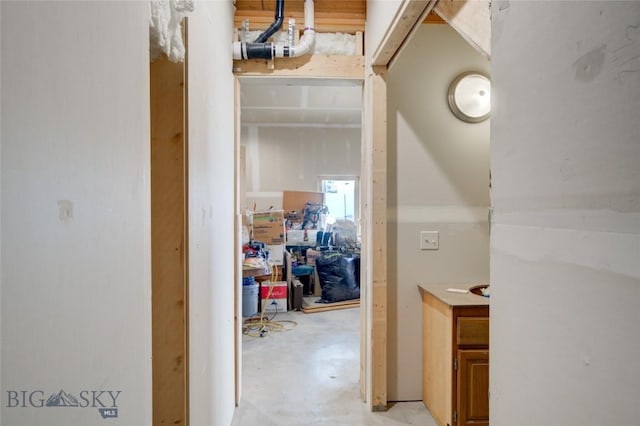 224 Slide Rock Rd, Cameron, MT 59720 - hall with unfinished concrete flooring