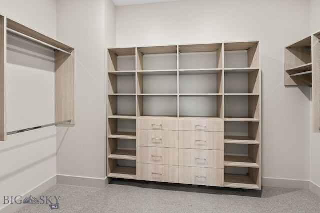 20 Bold Driver Ln, Bozeman, MT 59718 - view of spacious closet