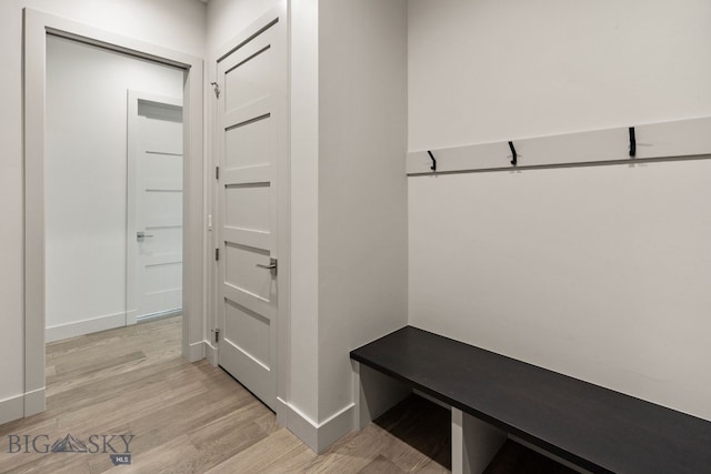 20 Bold Driver Ln, Bozeman, MT 59718 - mudroom featuring light wood-style floors and baseboards