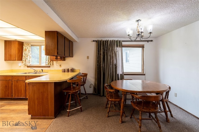 dining space with light carpet, a textured ceiling, sink, and an inviting chandelier