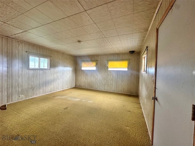 empty room with light carpet, plenty of natural light, and wooden walls