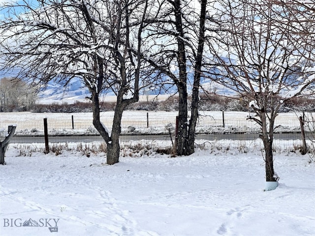 view of yard covered in snow