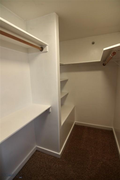 walk in closet with dark carpet