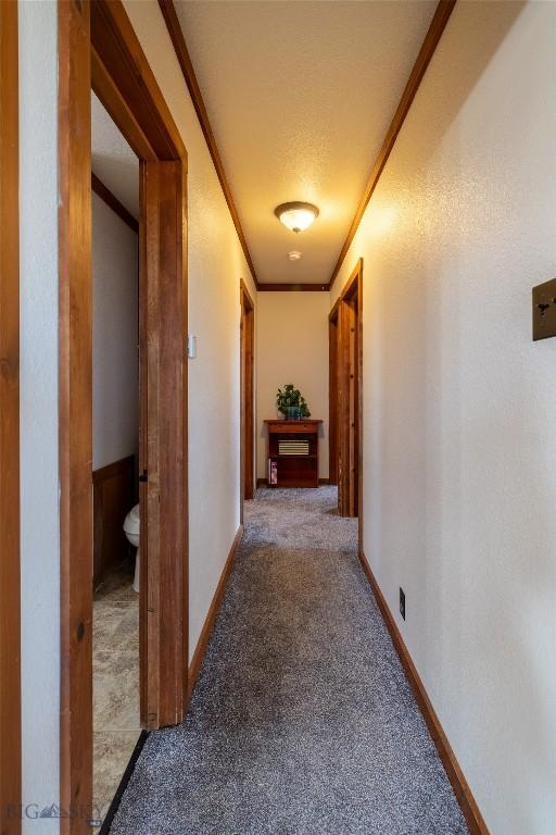 hall with carpet floors and crown molding