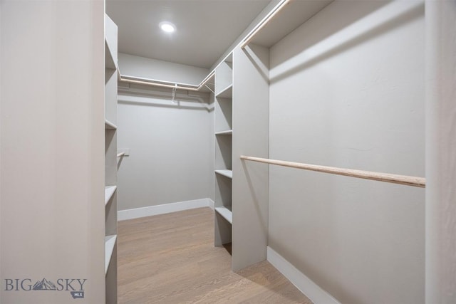 walk in closet featuring light hardwood / wood-style floors