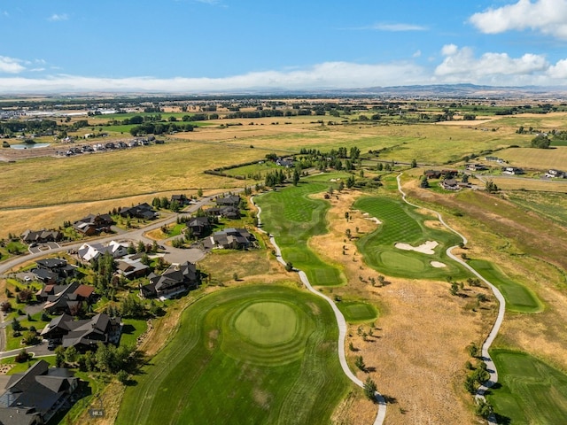 bird's eye view