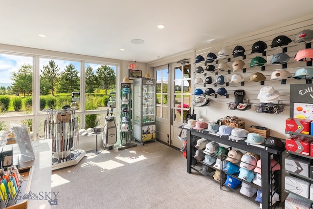 interior space featuring carpet floors