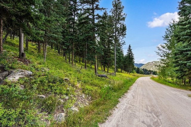 LOT5 Karst Stage Loop, Big Sky, MT 59730 - photo 5