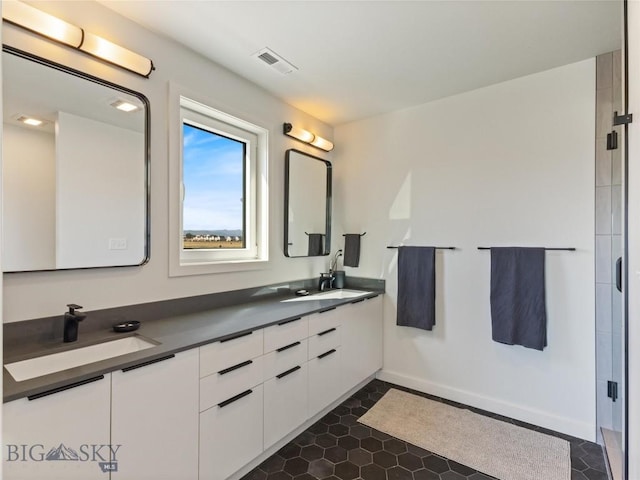 bathroom with a sink, visible vents, baseboards, and double vanity