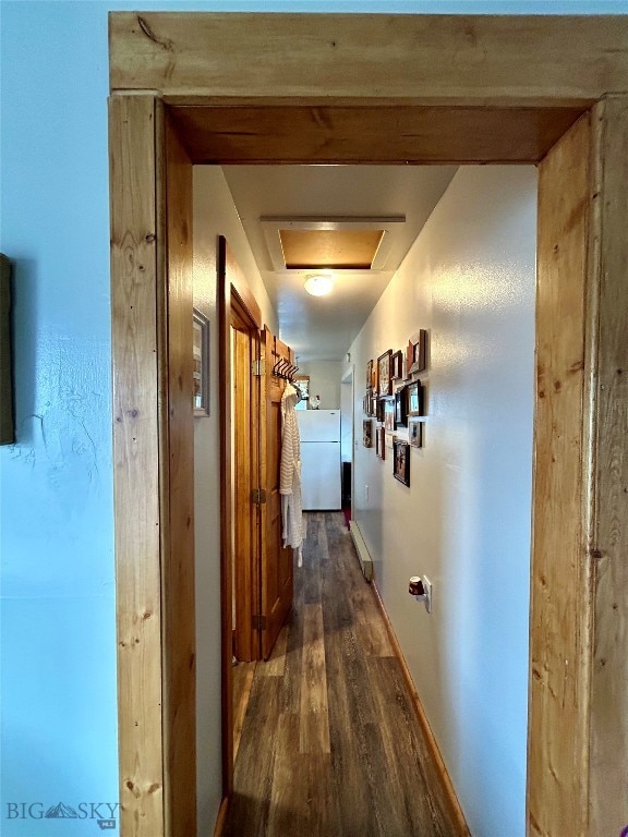 corridor featuring dark wood-type flooring