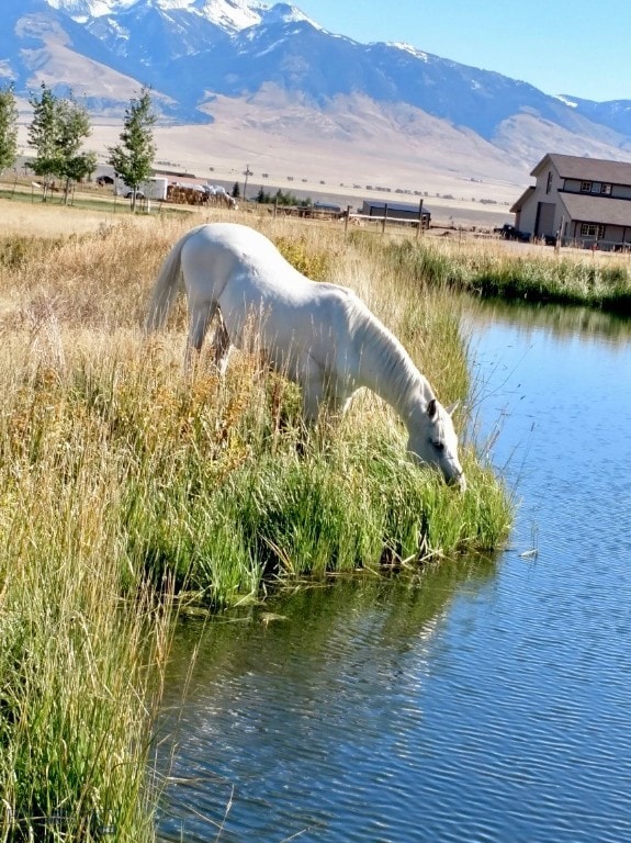 view of water feature with a mountain view