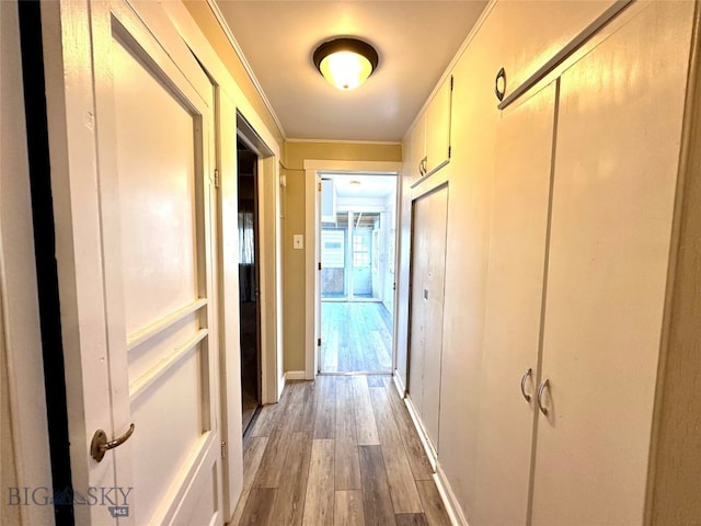 hallway with light hardwood / wood-style floors and ornamental molding