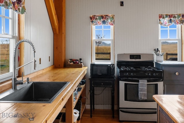 kitchen featuring sink, wood-type flooring, a healthy amount of sunlight, and gas stove