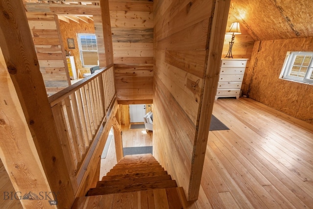 stairs featuring hardwood / wood-style flooring, wooden walls, and a wealth of natural light