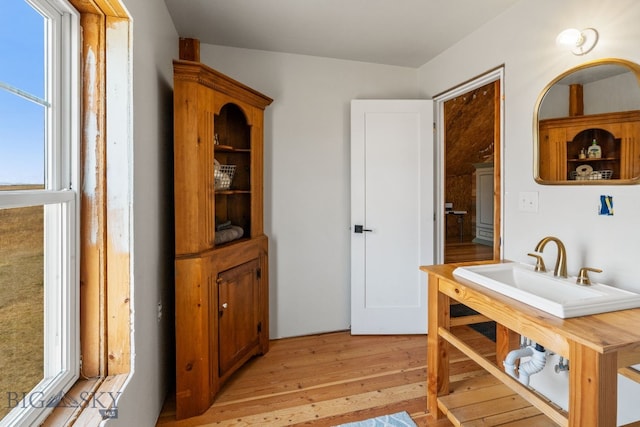 interior space featuring hardwood / wood-style flooring and sink