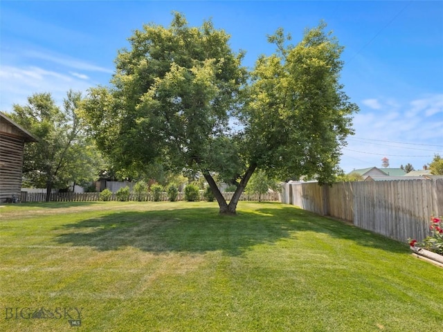 view of yard featuring a fenced backyard