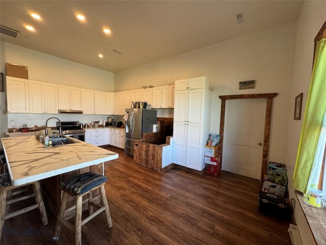 3 Sage Trl, Big Timber, MT 59011 - kitchen featuring visible vents, white cabinets, a sink, appliances with stainless steel finishes, and under cabinet range hood